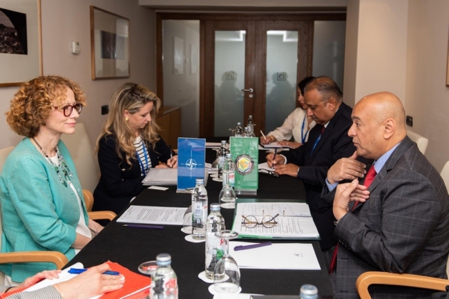 البديوي يبحث مع نائب الأمين العام لـ «ناتو» تعزيز آليات التعاون المشترك