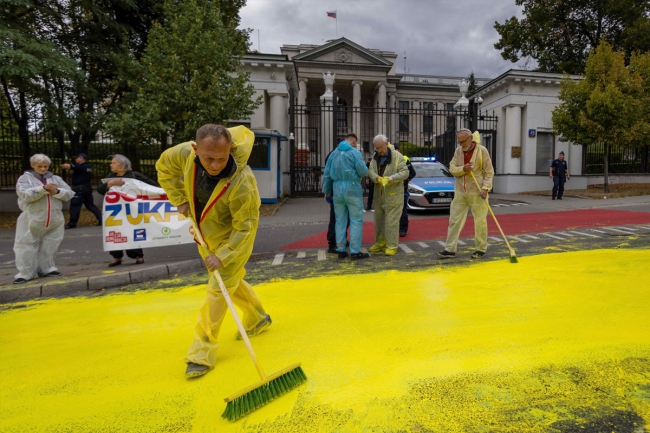 فرص عقد قمة بين بوتين وزيلينسكي تتراجع